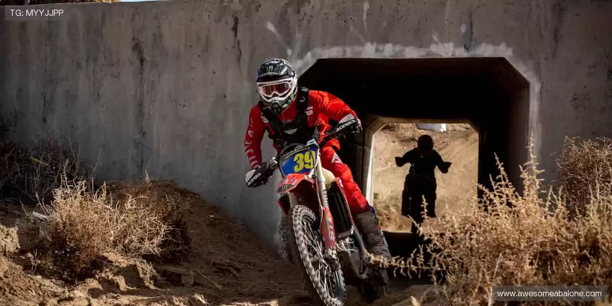 🏃‍♂️报名参赛，成就你的体育梦想！